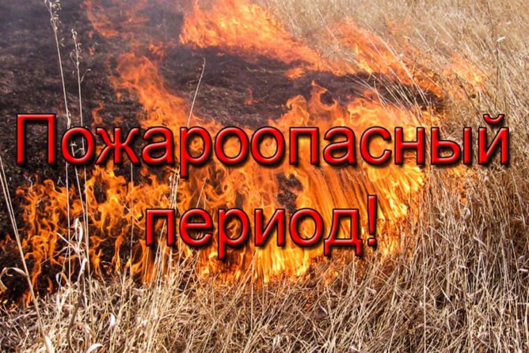 Информация. Информация.