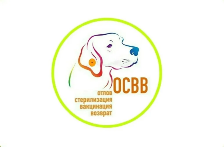 Метод Отлов - Стерилизация - Вакцинация - Возврат (ОСВВ) неагрессивных животных обратно в среду обитания является программой, разработанной Всемирной Организацией Здравоохранения.. Метод Отлов - Стерилизация - Вакцинация - Возврат (ОСВВ) неагрессивных животных обратно в среду обитания является программой, разработанной Всемирной Организацией Здравоохранения..